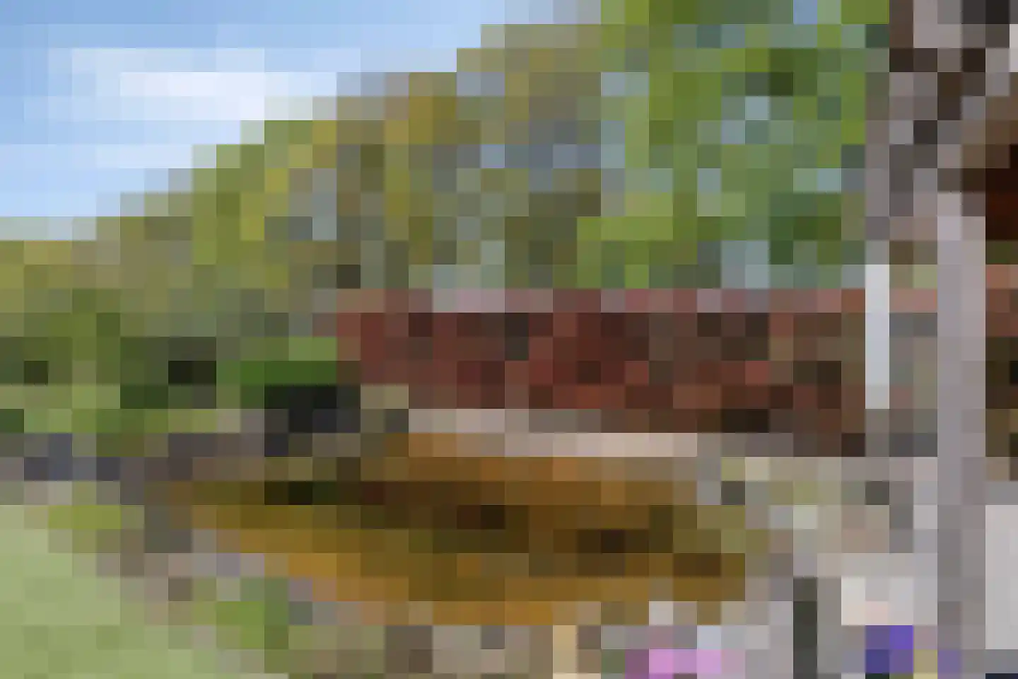 Heivlinder 8 Mierlo thumbnail 64