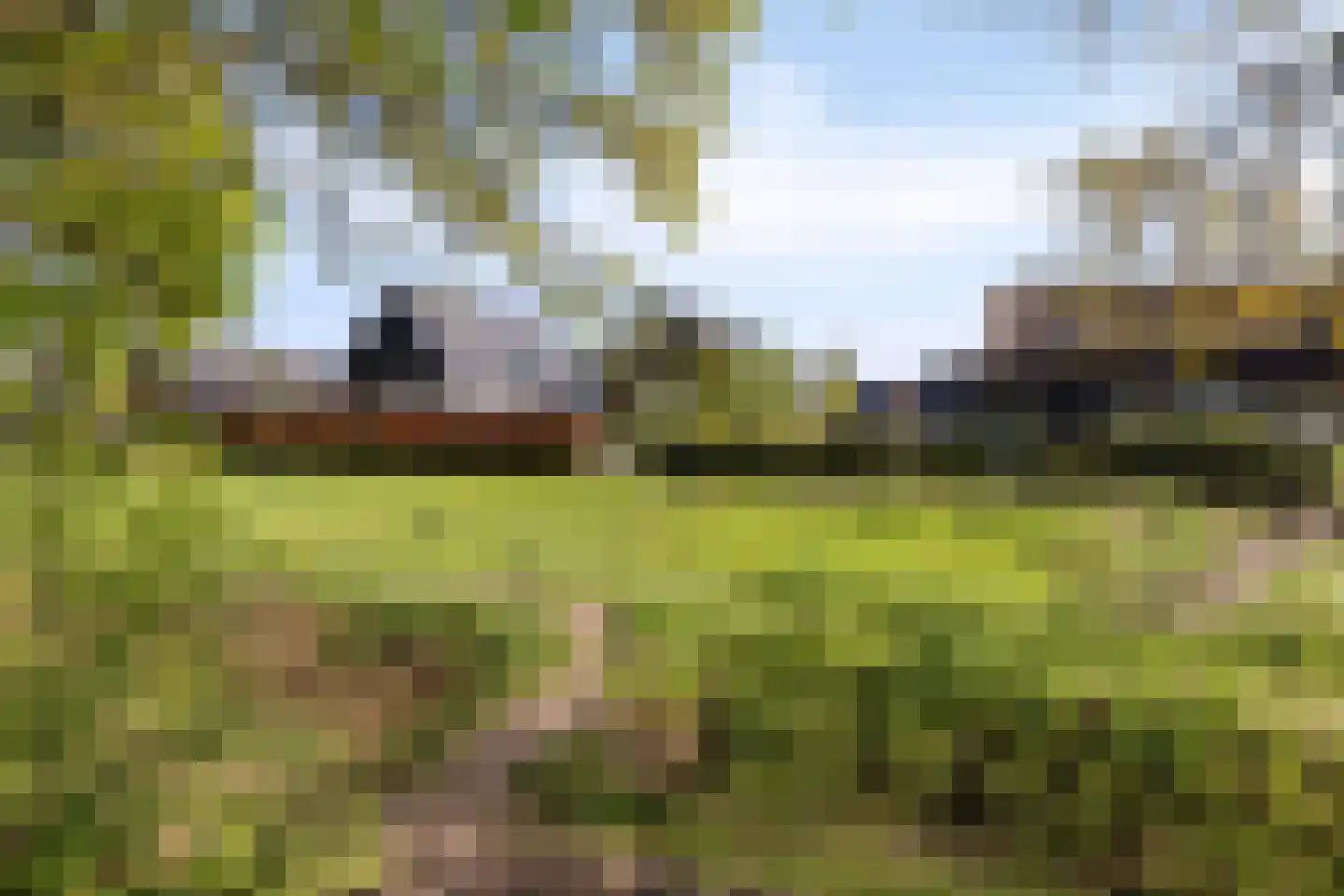 Heivlinder 8 Mierlo thumbnail 65