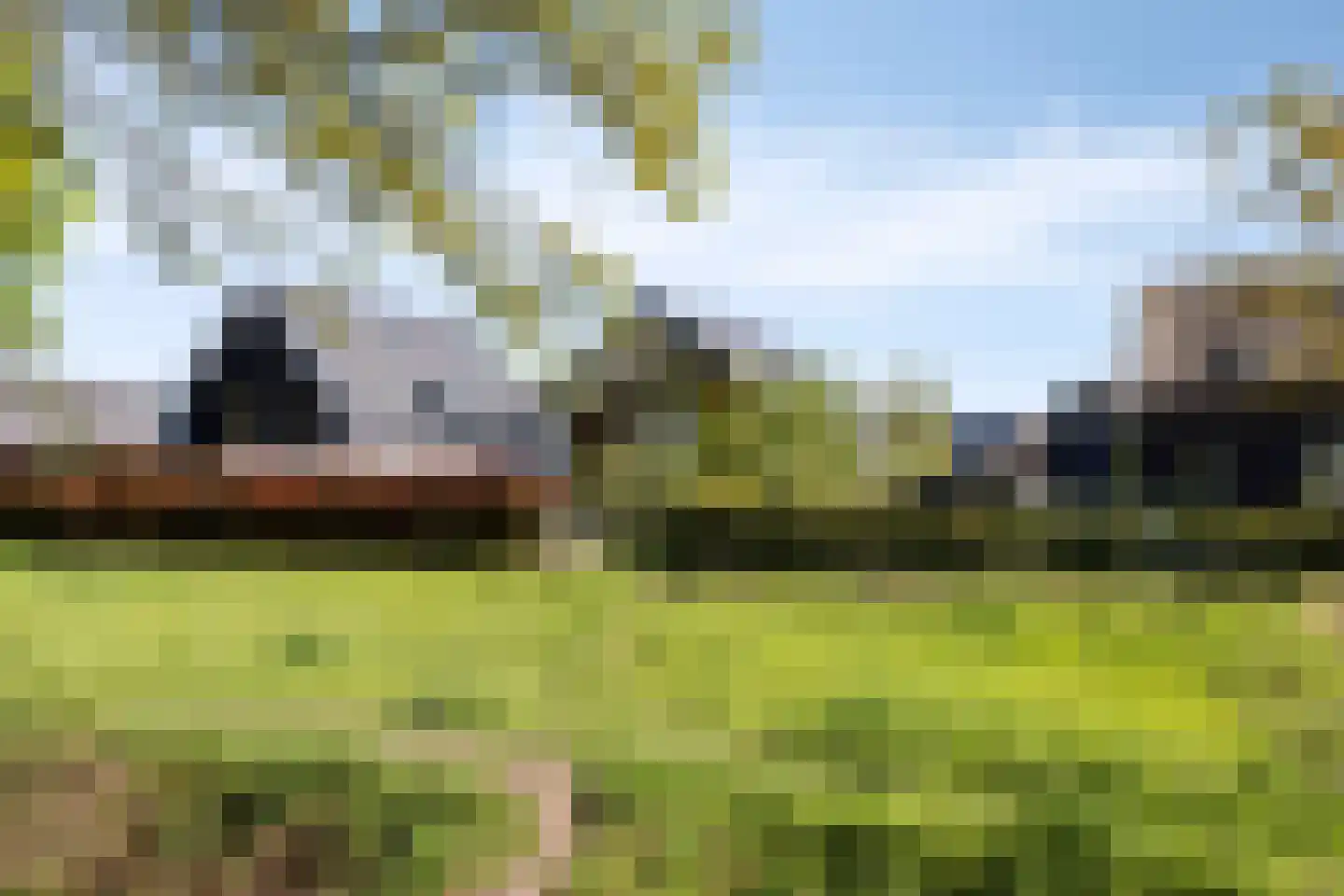 Heivlinder 8 Mierlo thumbnail 66