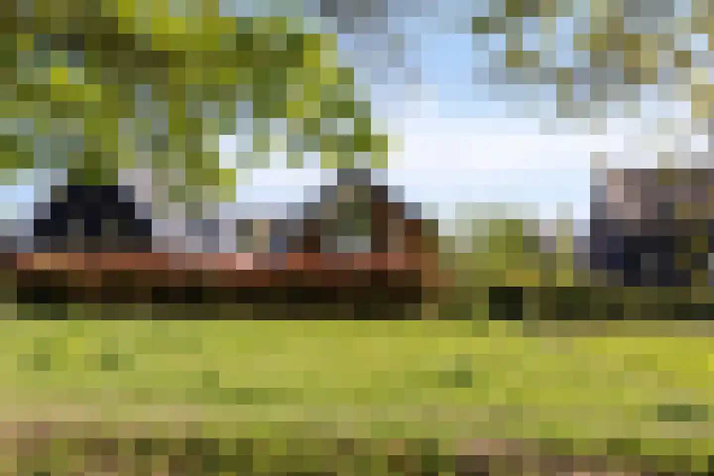 Heivlinder 8 Mierlo thumbnail 67
