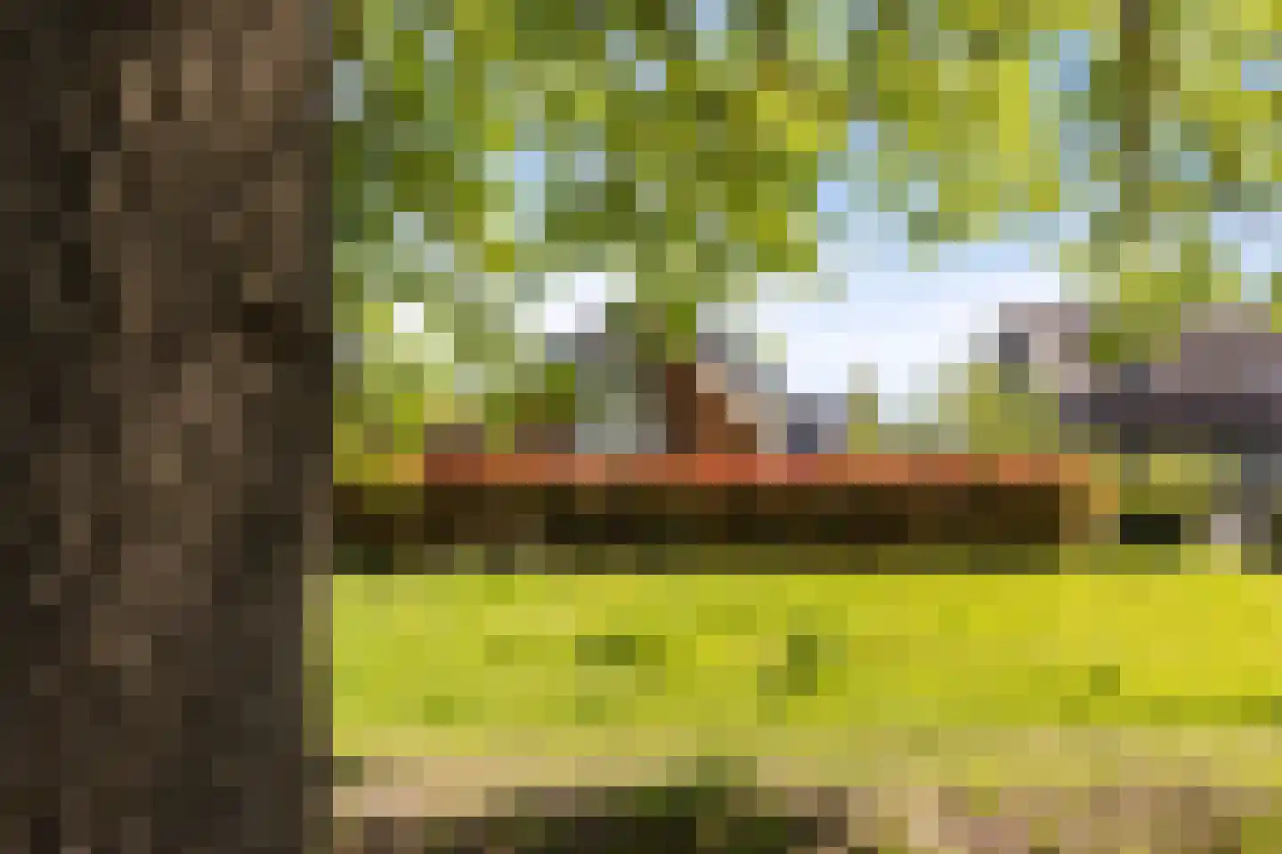 Heivlinder 8 Mierlo thumbnail 68