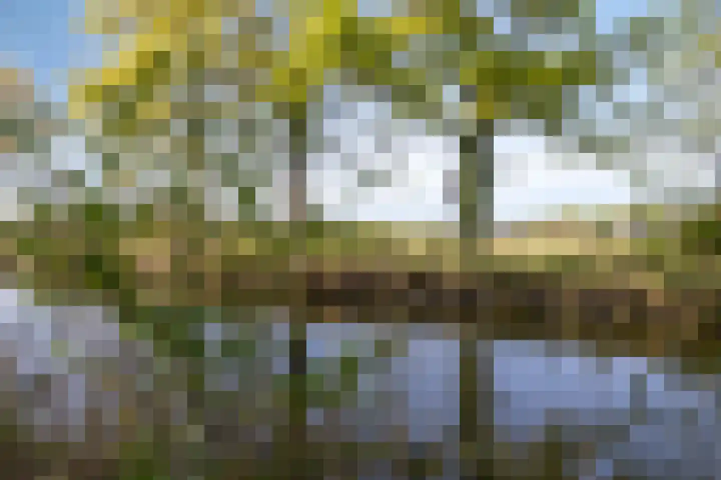 Heivlinder 8 Mierlo thumbnail 69