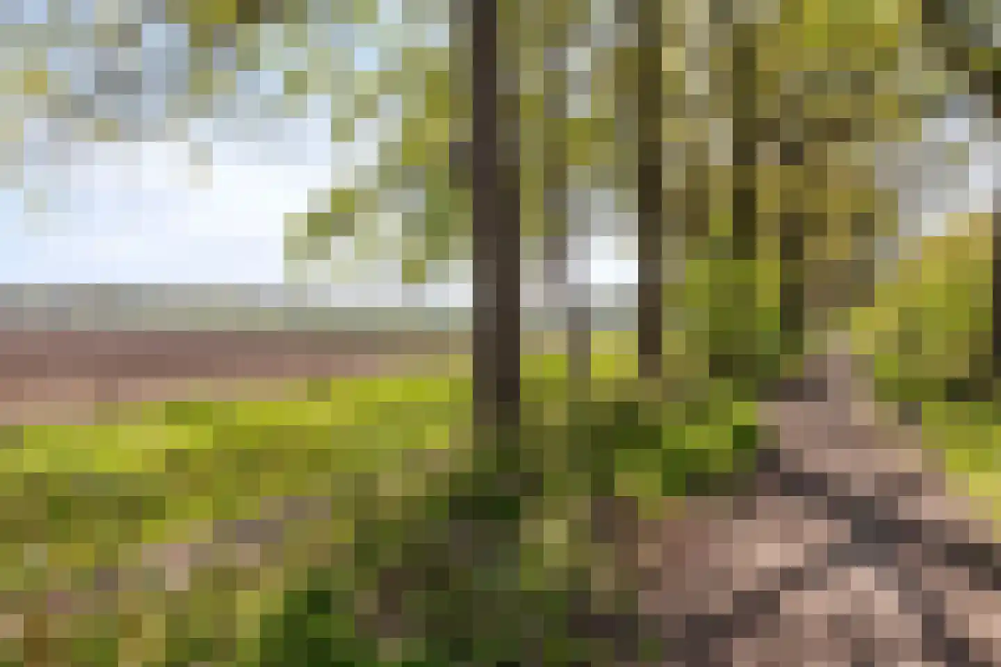 Heivlinder 8 Mierlo thumbnail 70