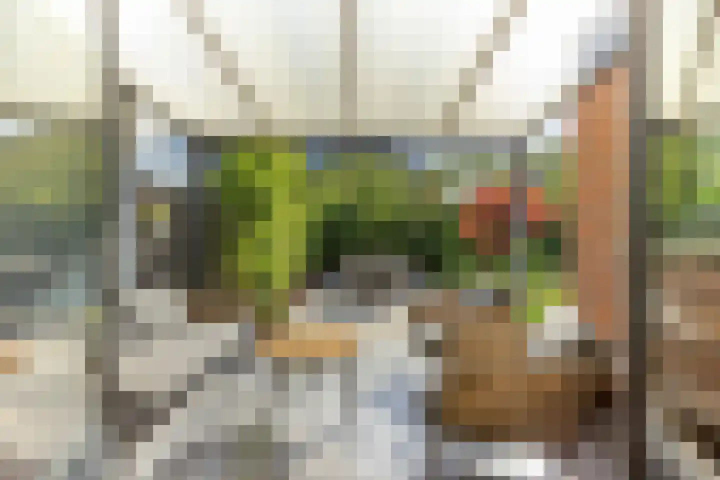 Heivlinderlaan 14 Son en Breugel thumbnail 29
