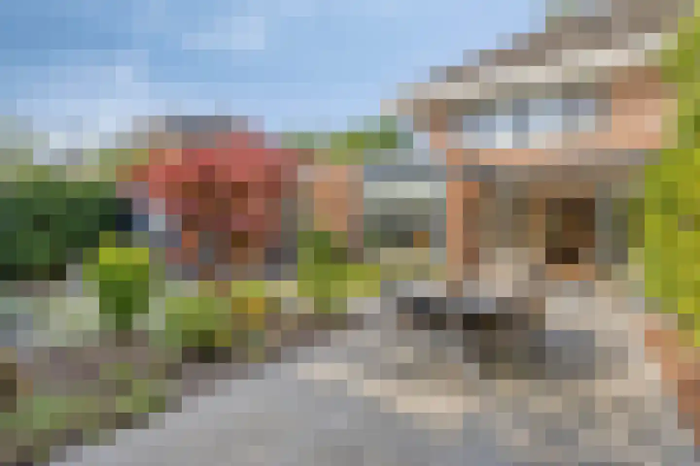 Heivlinderlaan 14 Son en Breugel thumbnail 33