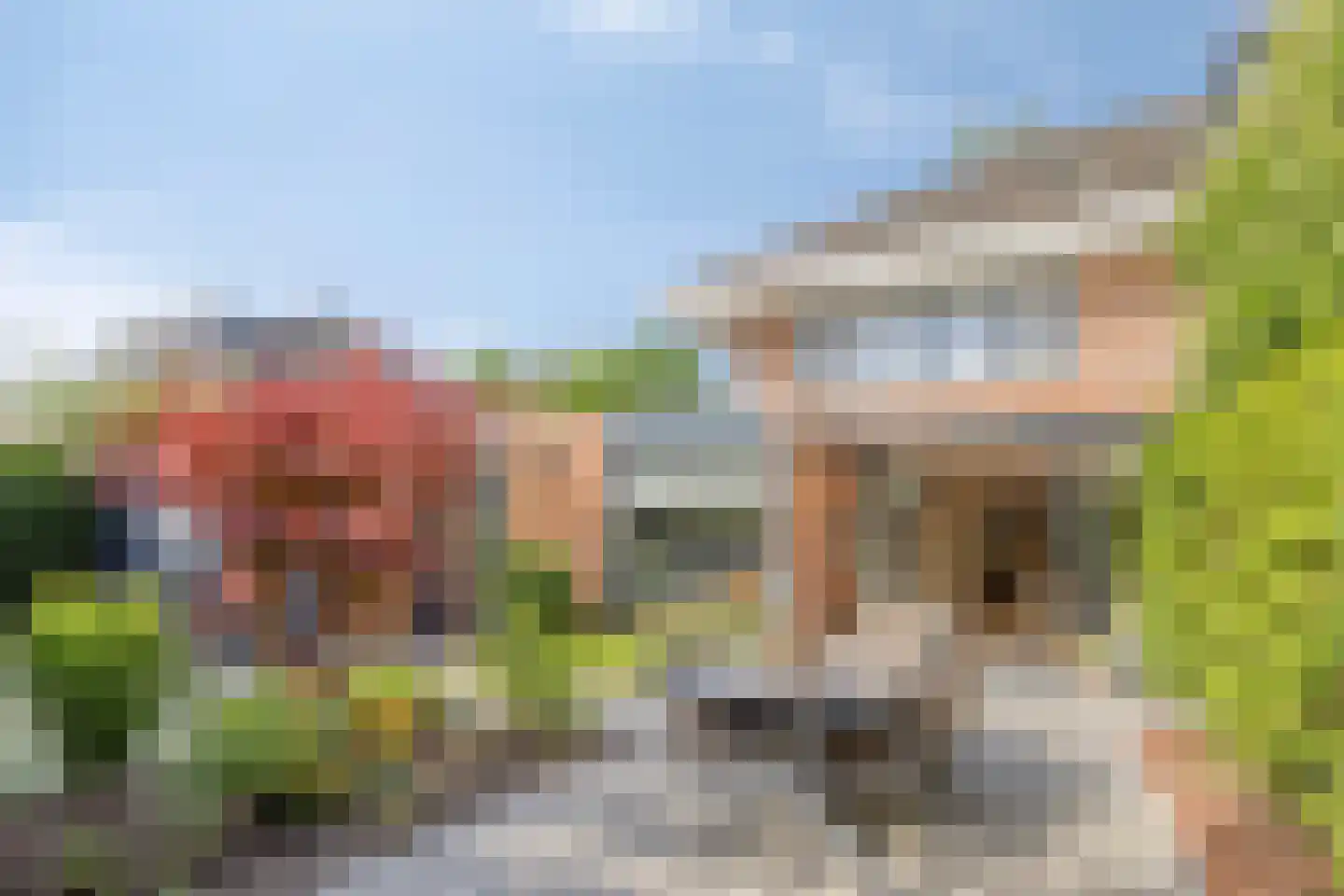Heivlinderlaan 14 Son en Breugel thumbnail 4