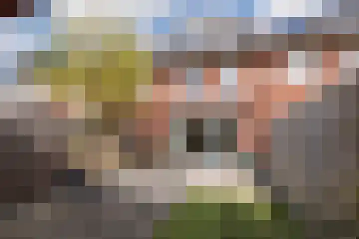 Heivlinderlaan 19 Culemborg thumbnail 26
