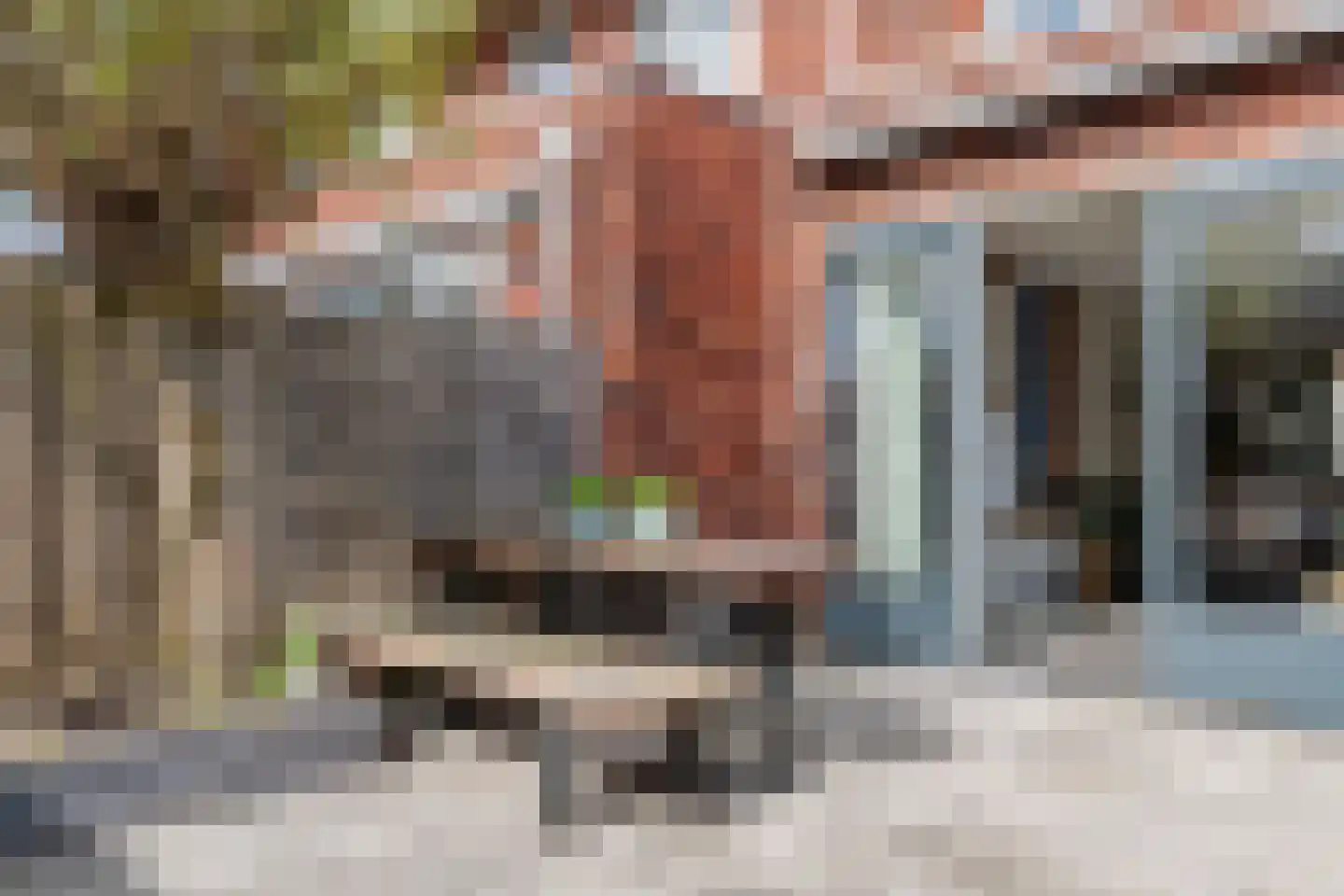 Heivlinderlaan 19 Culemborg thumbnail 27