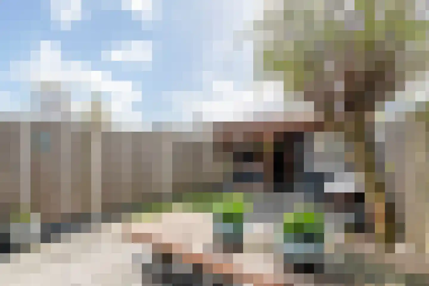 Heivlinderlaan 19 Culemborg thumbnail 28