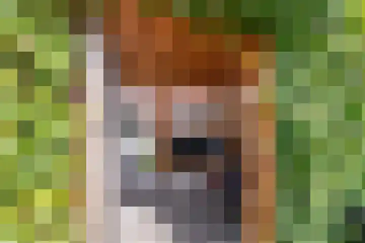 Heivlinderlaan 19 Culemborg thumbnail 30