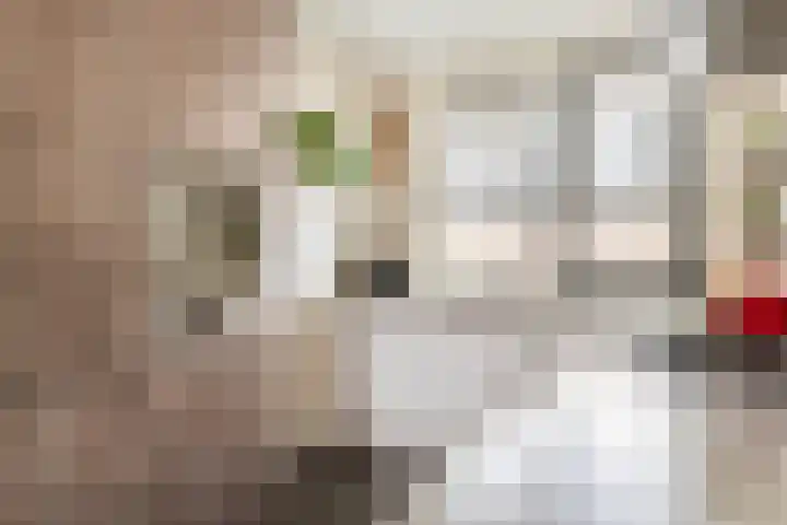 Heivlinderlaan 19 Culemborg thumbnail 4