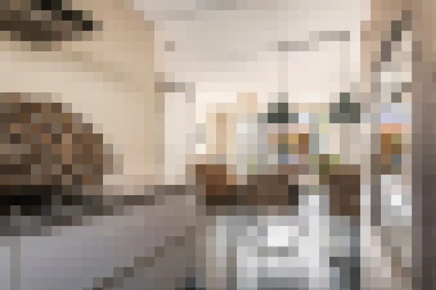 Heivlinderlaan 19 Culemborg thumbnail 5