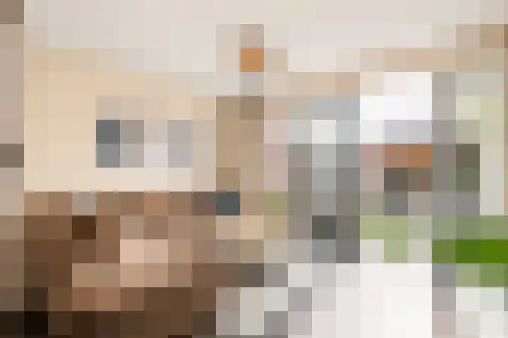 Heivlinderlaan 19 Culemborg thumbnail 9