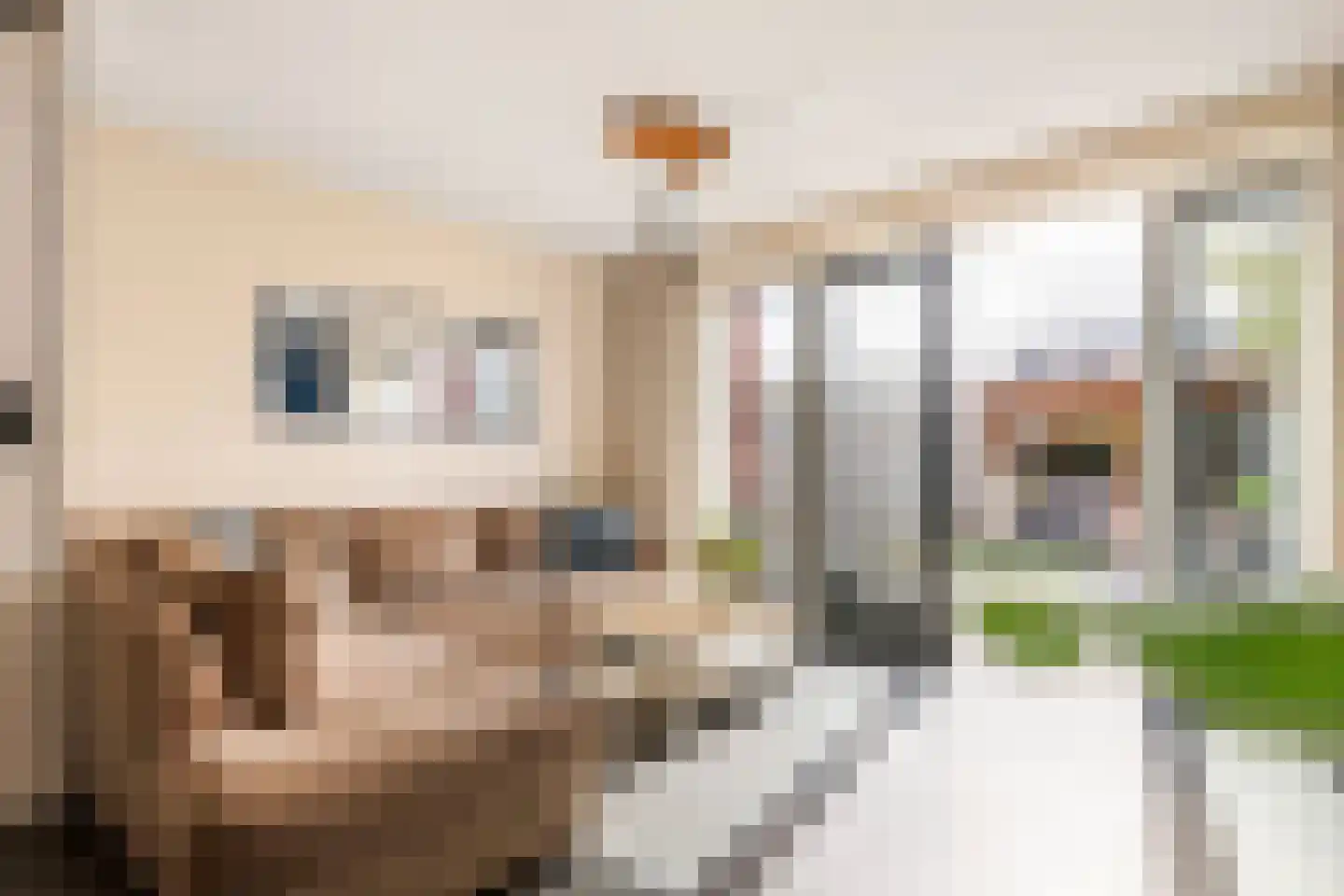 Heivlinderlaan 19 Culemborg thumbnail 9