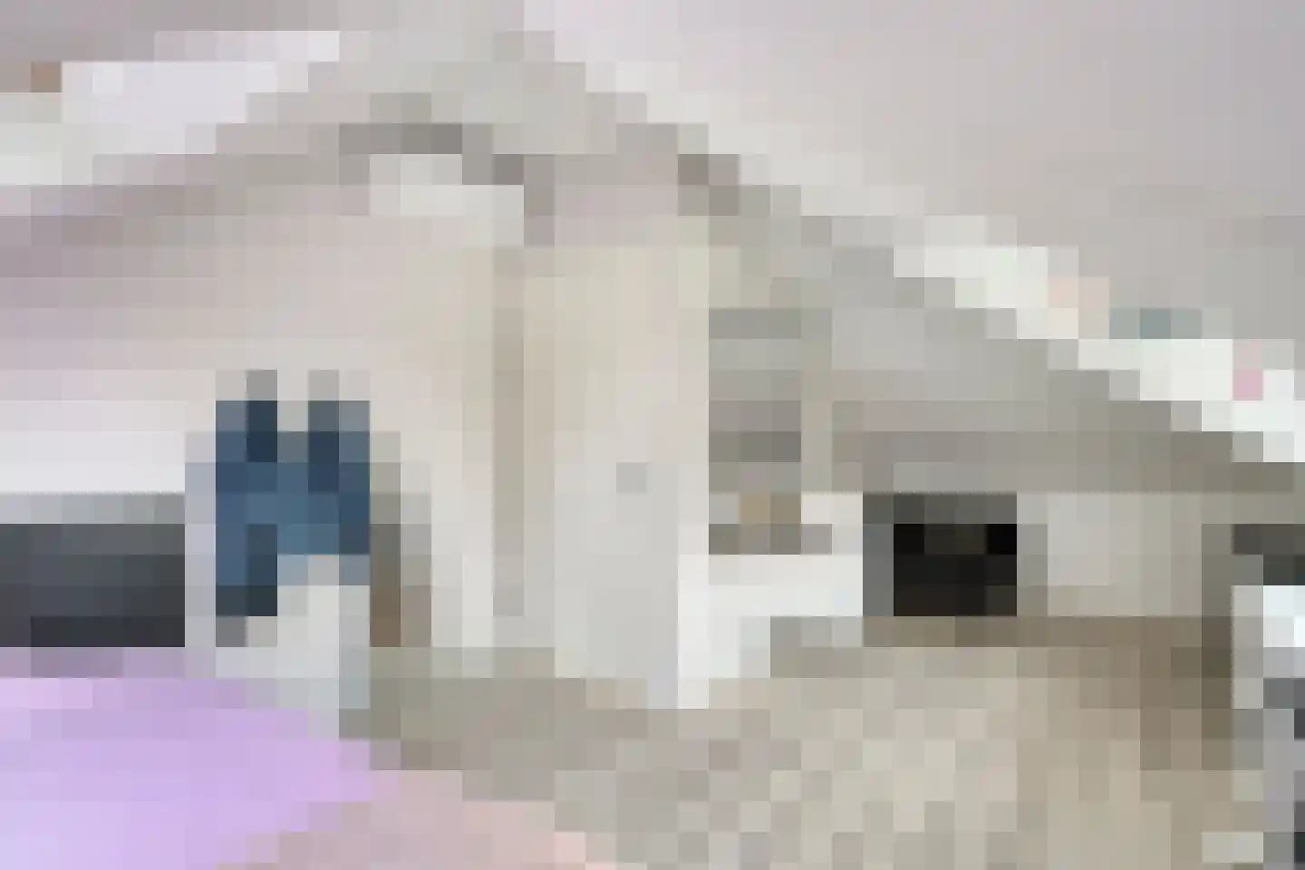 Heivlinderlaan 29 Son en Breugel thumbnail 56