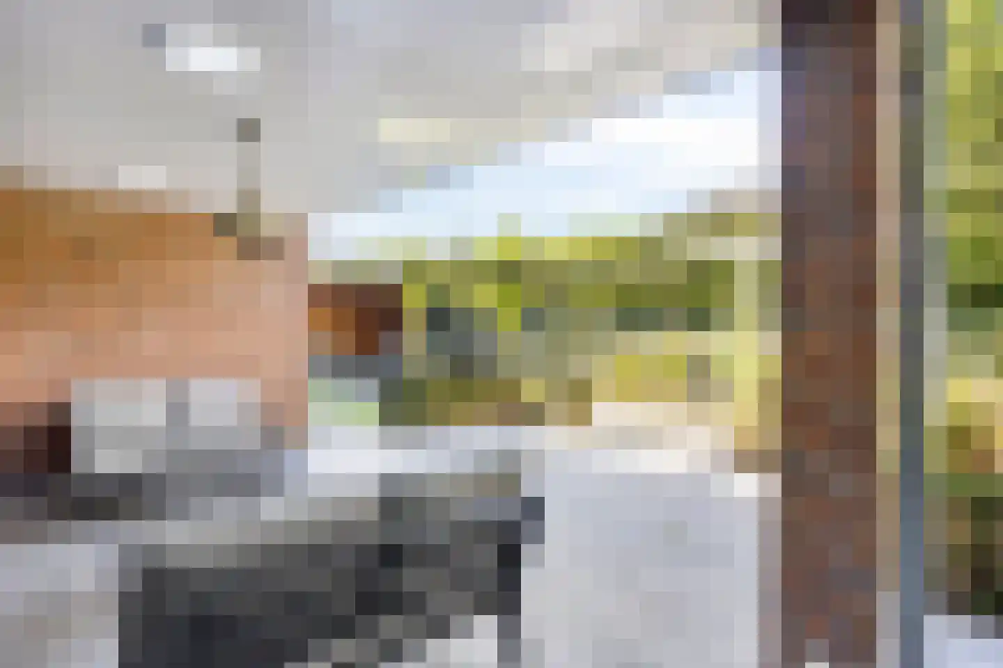 Heivlinderlaan 29 Son en Breugel thumbnail 58