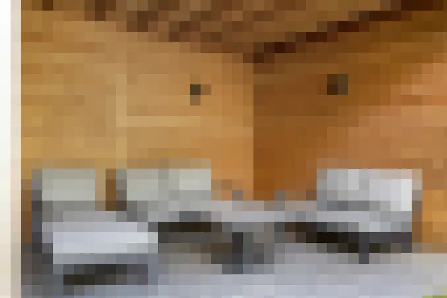 Heivlinderlaan 29 Son en Breugel thumbnail 63