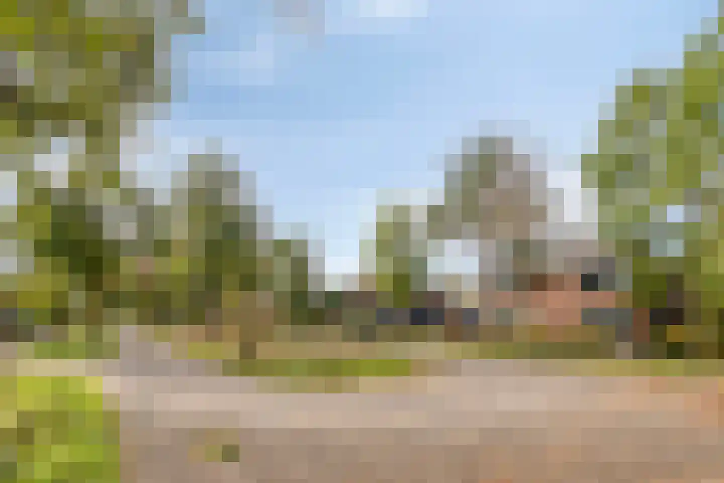 Heivlinderlaan 29 Son en Breugel thumbnail 65