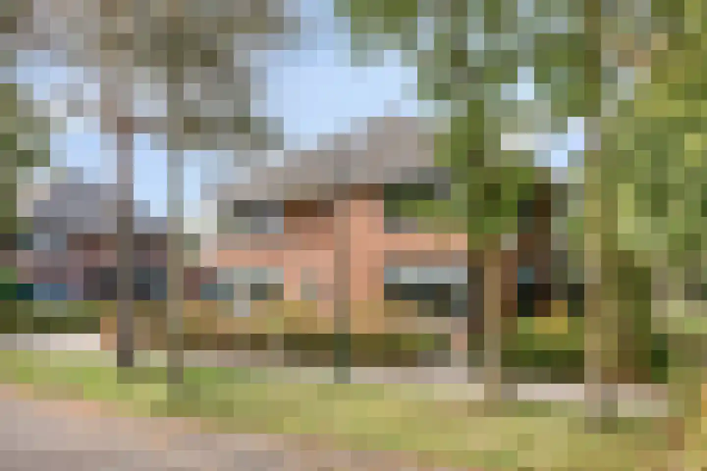 Heivlinderlaan 29 Son en Breugel thumbnail 8