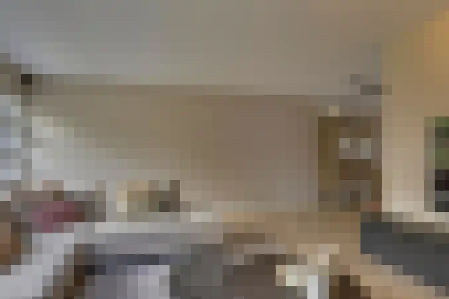 Heivlinderlaan 3 Son en Breugel thumbnail 14