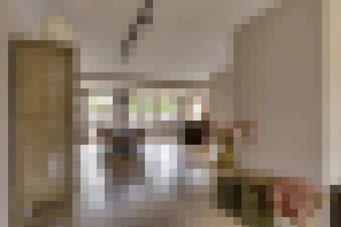 Heivlinderlaan 3 Son en Breugel thumbnail 16