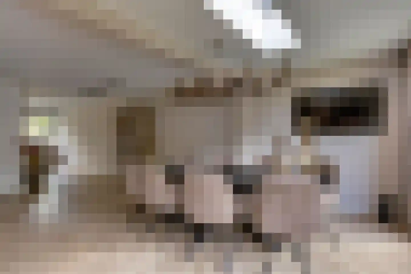 Heivlinderlaan 3 Son en Breugel thumbnail 19