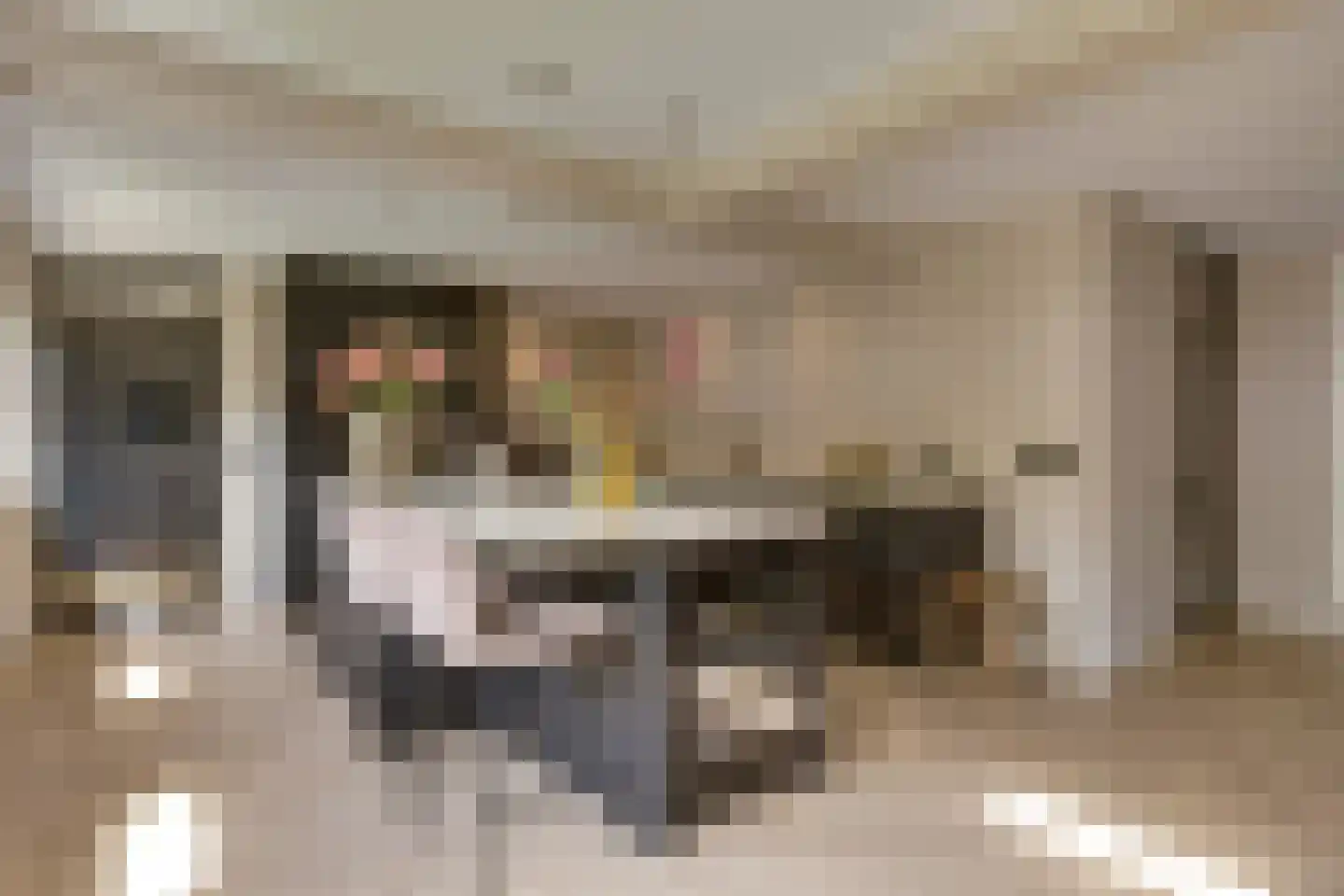 Heivlinderlaan 3 Son en Breugel thumbnail 21