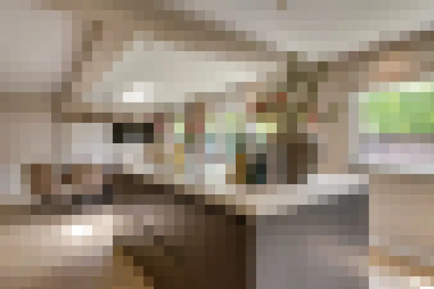 Heivlinderlaan 3 Son en Breugel thumbnail 24
