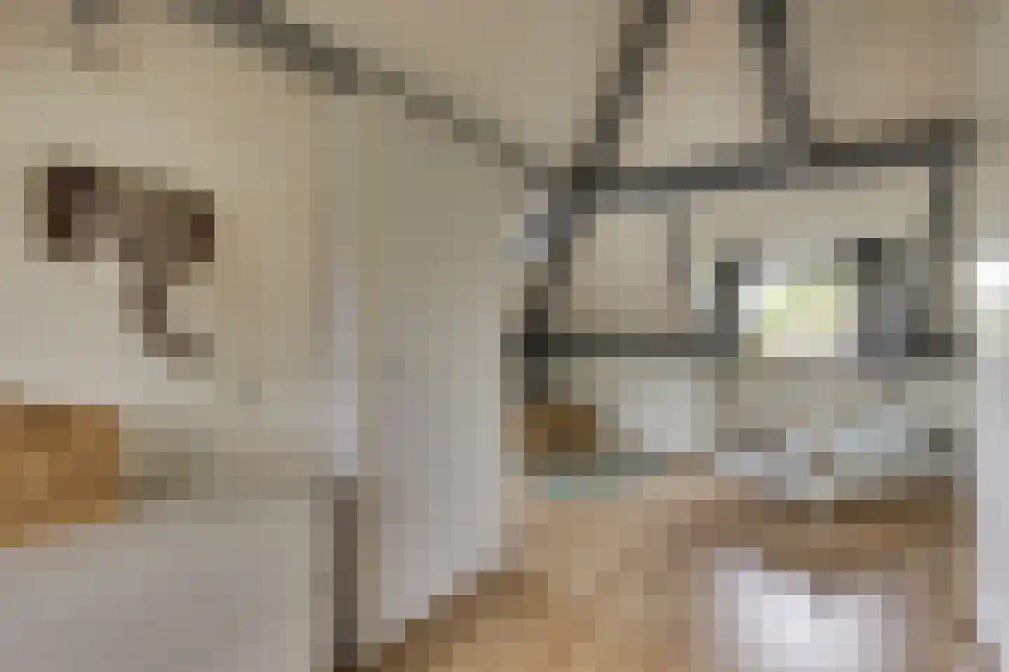 Heivlinderlaan 3 Son en Breugel thumbnail 41