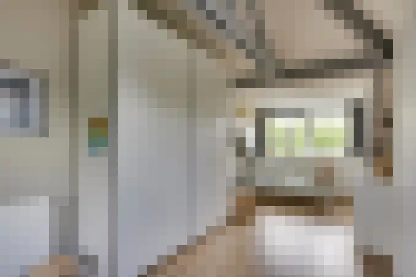 Heivlinderlaan 3 Son en Breugel thumbnail 43