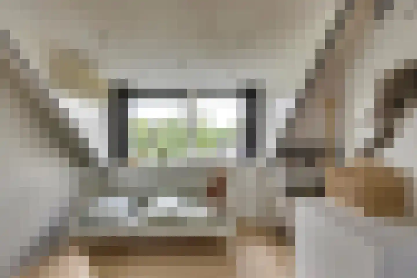 Heivlinderlaan 3 Son en Breugel thumbnail 44
