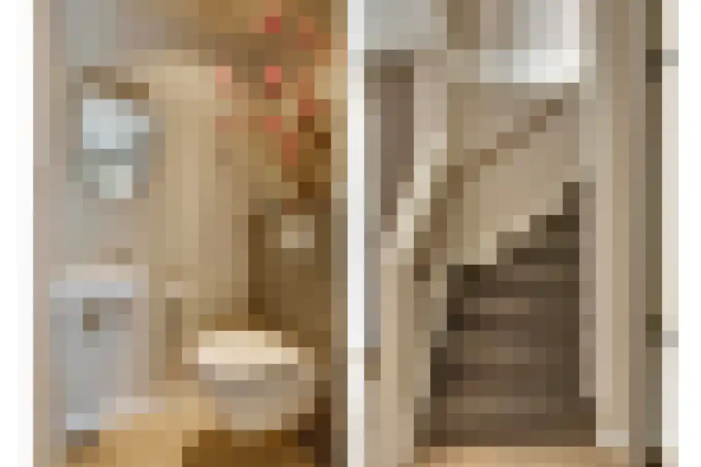 Heivlinderlaan 3 Son en Breugel thumbnail 5