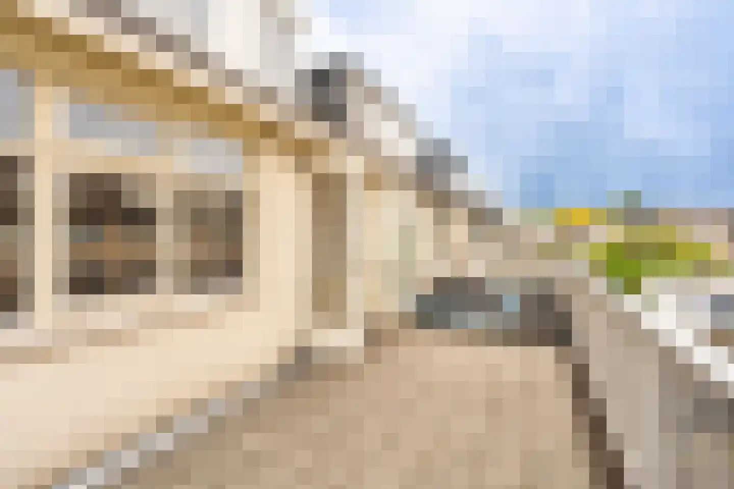 Heivlinderweg 37 Diemen thumbnail 48