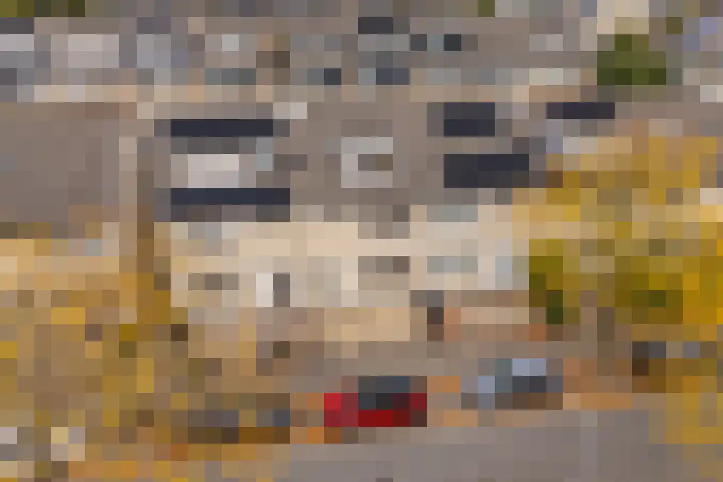 Heivlinderweg 37 Diemen thumbnail 7