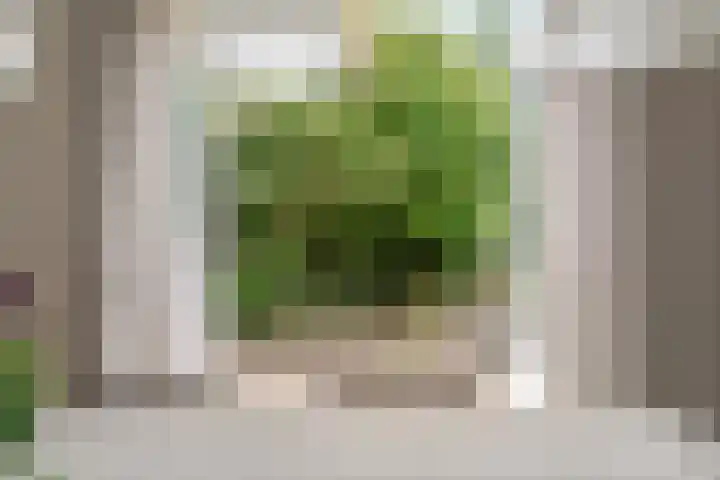 Heiweg 101 Nijmegen thumbnail 18