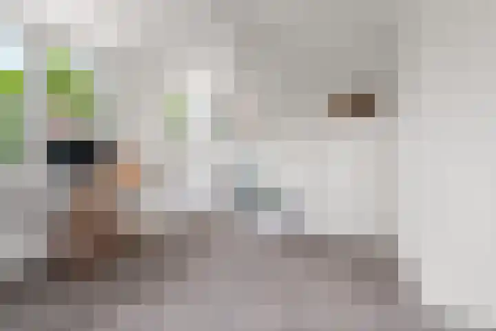 Heiweg 101 Nijmegen thumbnail 39