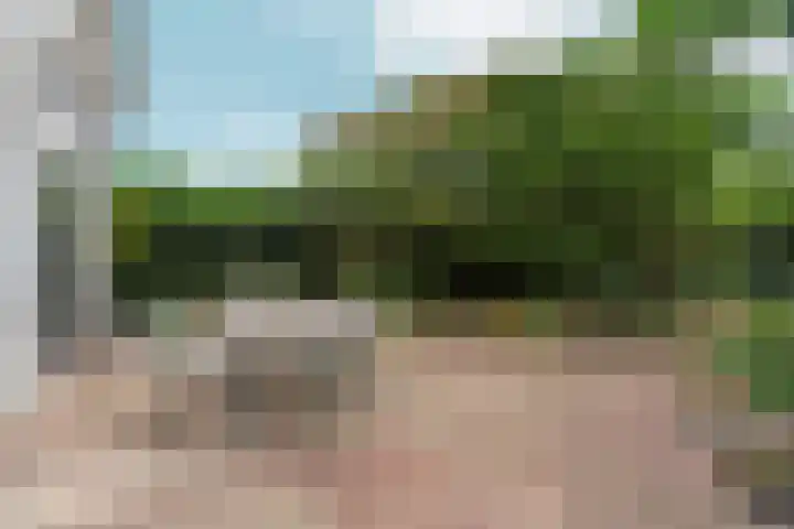 Heiweg 101 Nijmegen thumbnail 43