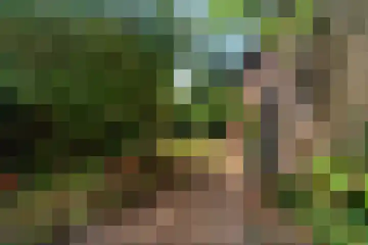 Heiweg 101 Nijmegen thumbnail 46