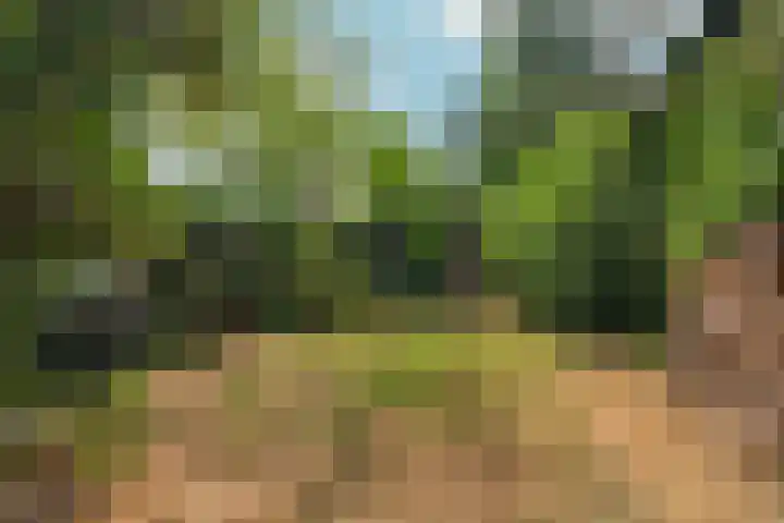 Heiweg 101 Nijmegen thumbnail 47