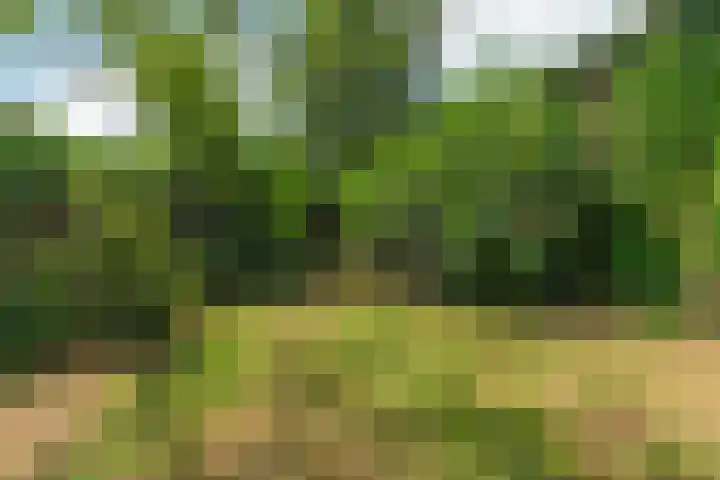 Heiweg 101 Nijmegen thumbnail 48