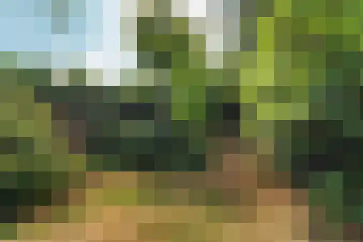 Heiweg 101 Nijmegen thumbnail 49