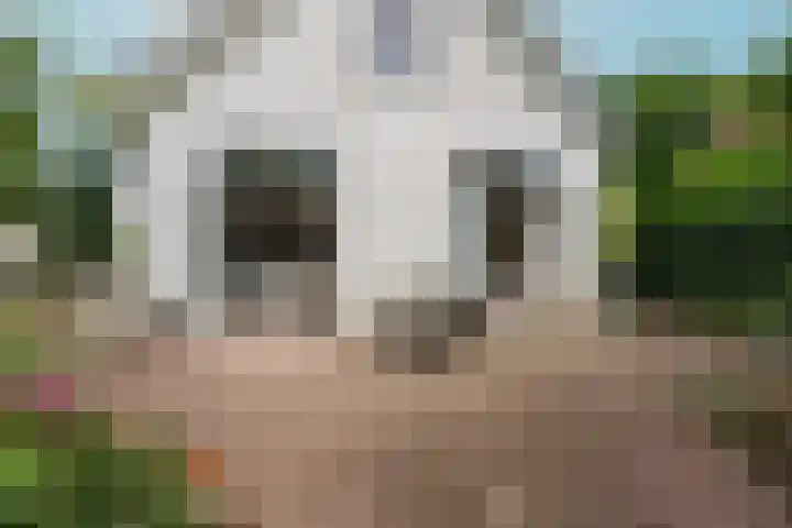 Heiweg 101 Nijmegen thumbnail 53