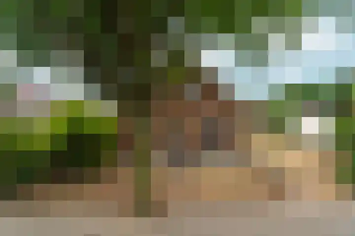 Heiweg 101 Nijmegen thumbnail 62