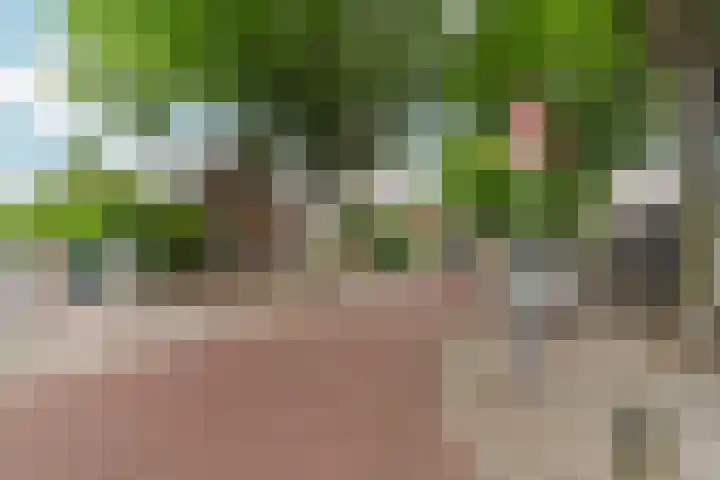 Heiweg 101 Nijmegen thumbnail 63