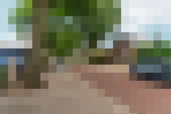 Heiweg 101 Nijmegen thumbnail 64