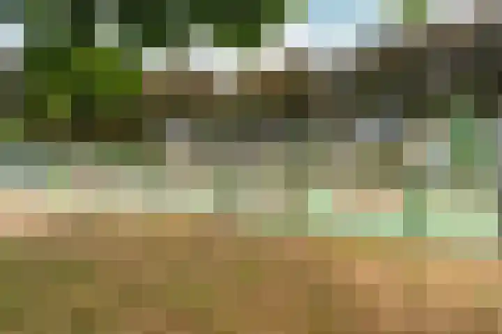 Heiweg 101 Nijmegen thumbnail 66