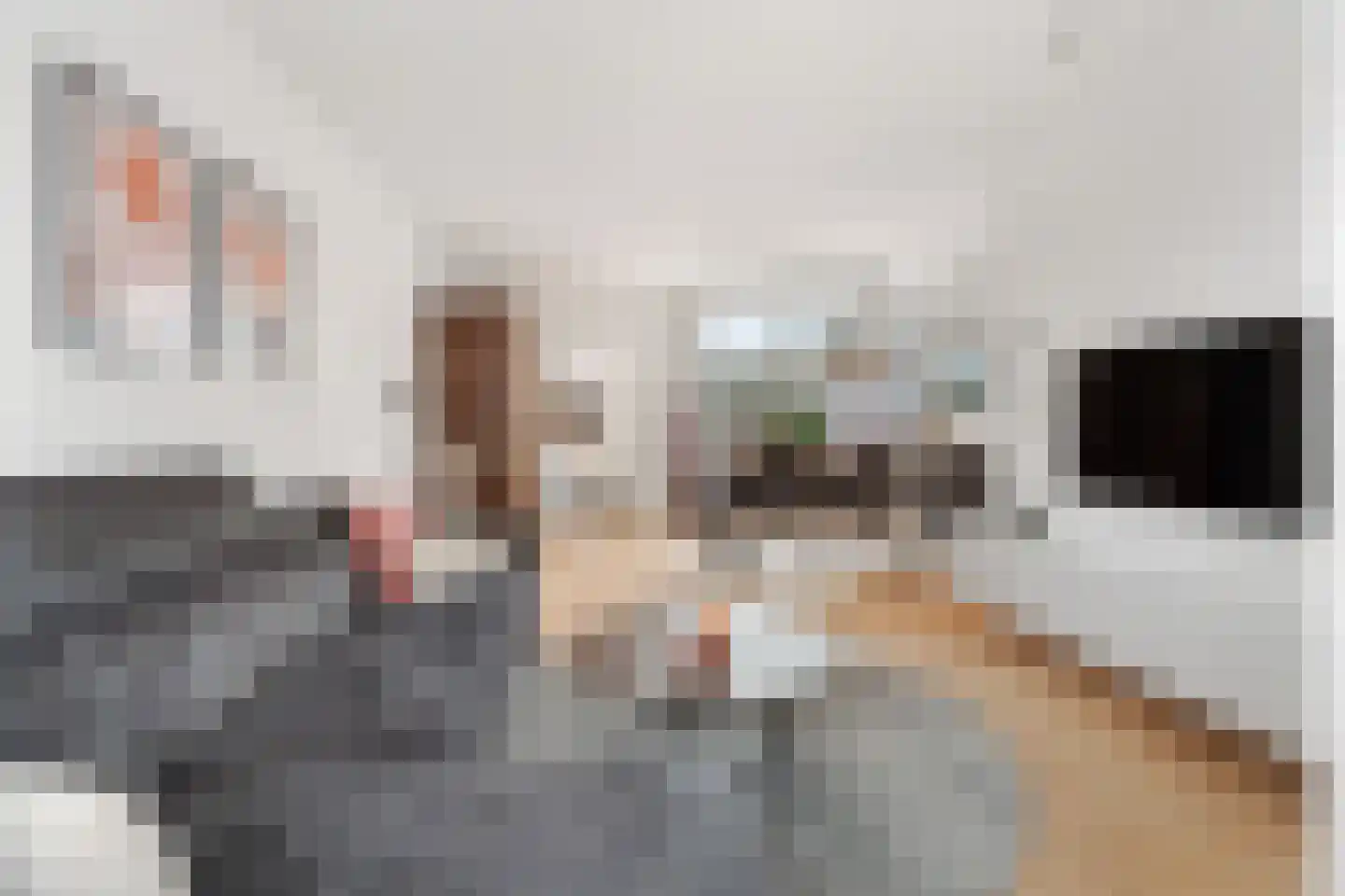 Heiweg 160 Nijmegen thumbnail 4