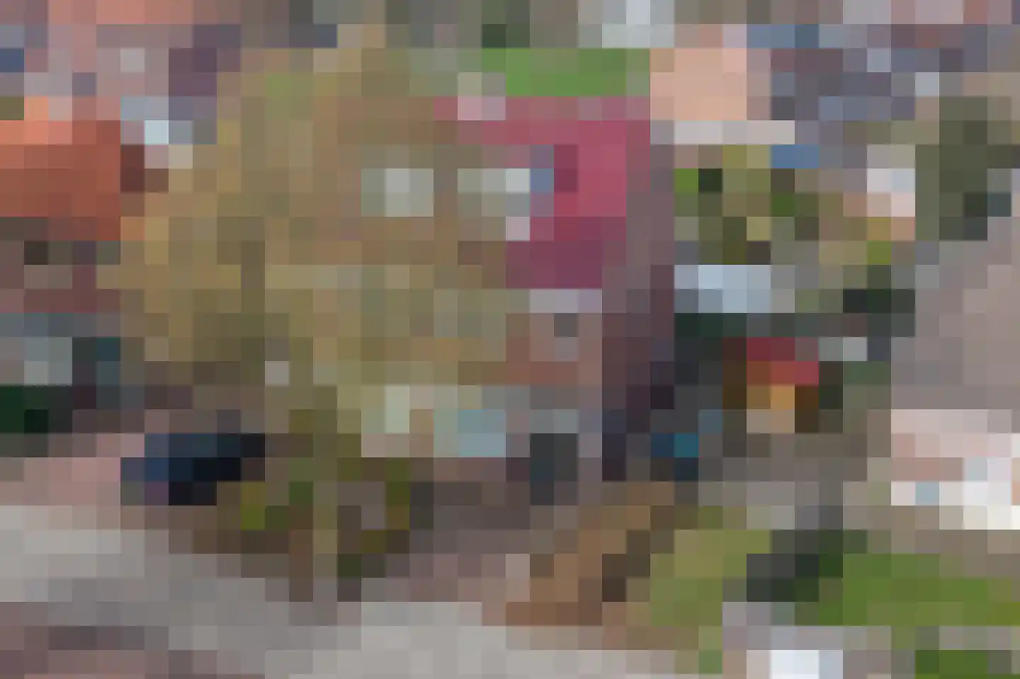Heiweg 160 Nijmegen thumbnail 59
