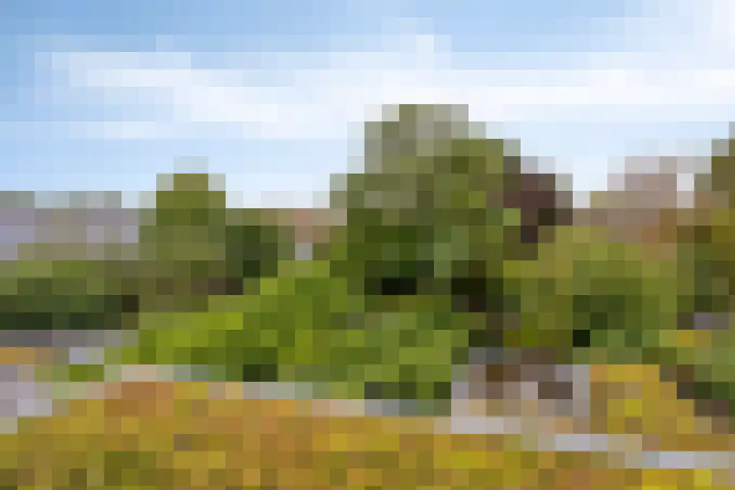 Heiweg 179 Nijmegen thumbnail 35
