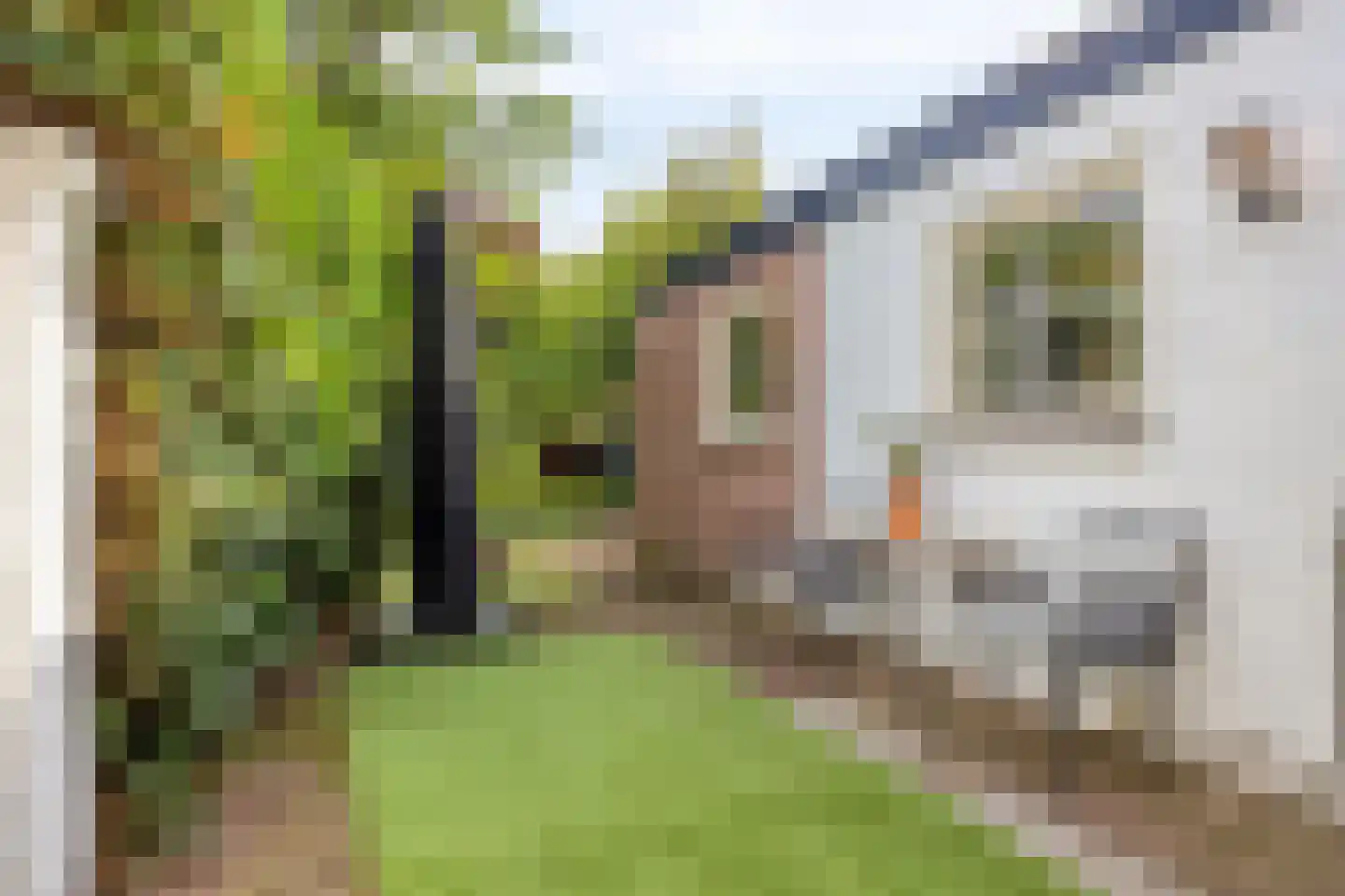Heiweg 179 Nijmegen thumbnail 37